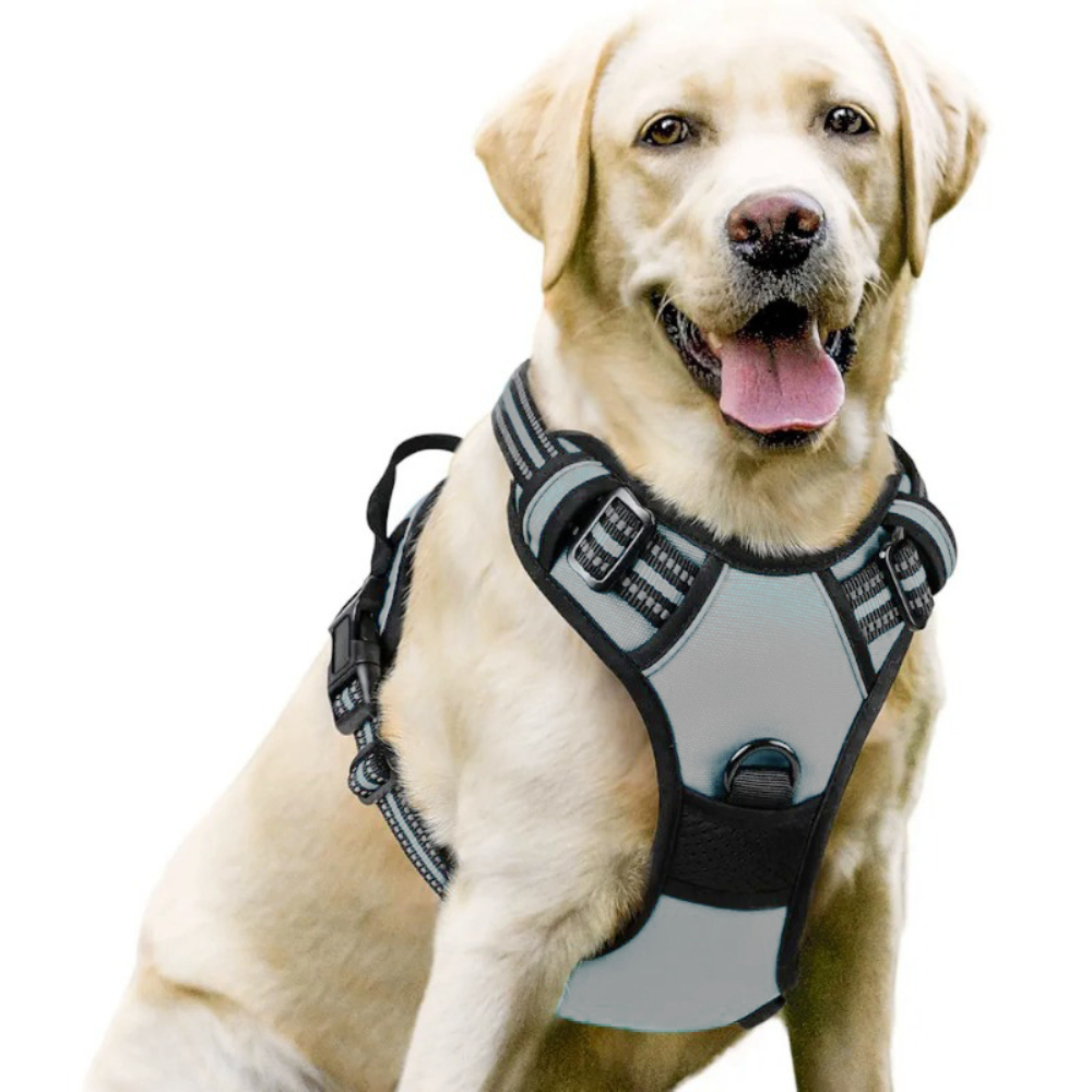 Luxury Nylon Dog Harnesses Reflective Pet Chest Strap for Large Dogs Fashionable Cartoon Style Button Closure Factory Wholesale Pet Harness,U-ME PET LUV,Luxury Nylon Dog Harnesses Reflective Pet Chest Strap for Large Dogs Fashionable Cartoon Style Button Closure Factory Wholesale