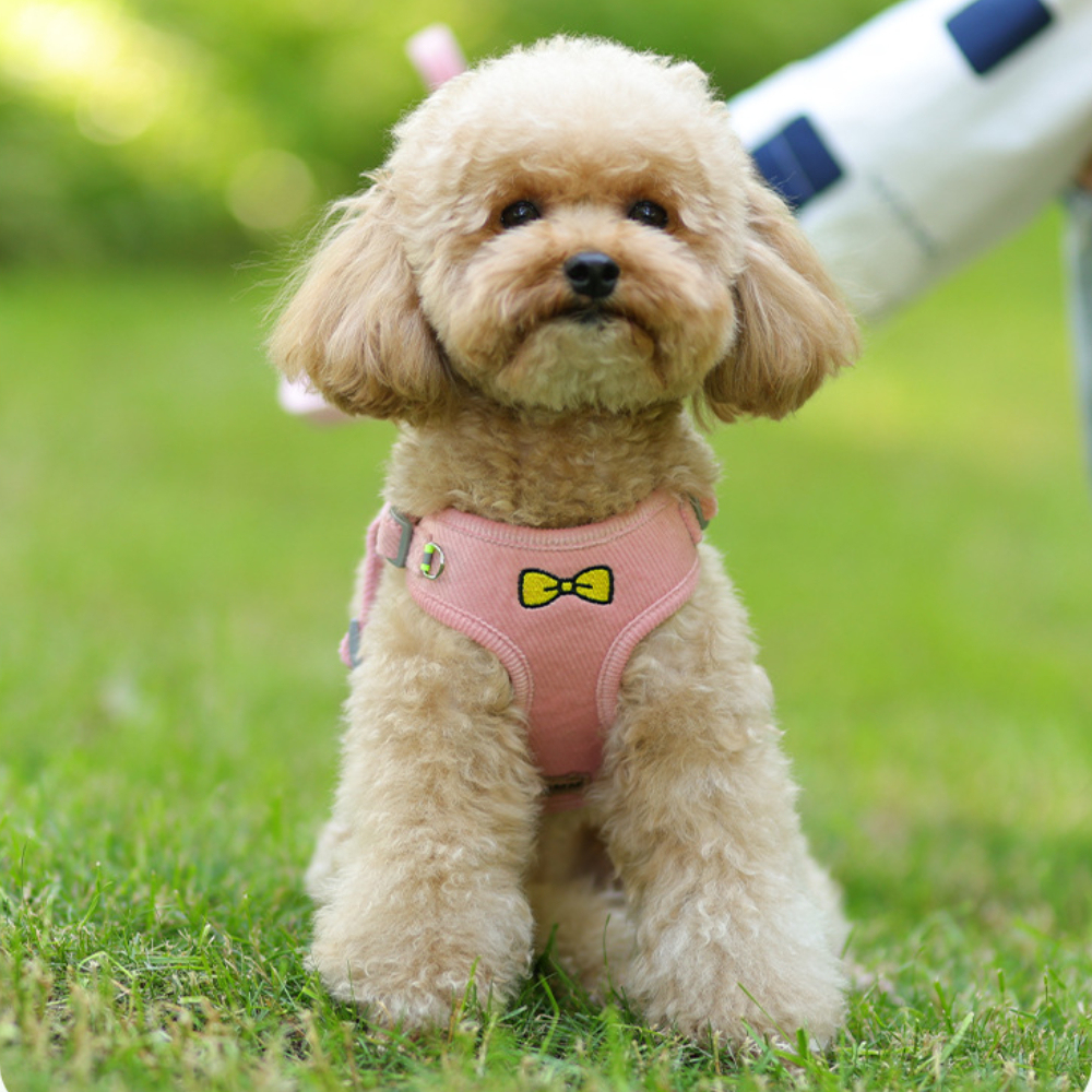 Wholesale Breathable Reflective Anti-Pull Mesh Pet Vest Harness Fashion for Small Medium Cats Dogs No Escape Dog Cat Harness,U-ME PET LUV,Wholesale Breathable Reflective Anti-Pull Mesh Pet Vest Harness Fashion for Small Medium Cats Dogs No Escape Dog Cat Harness