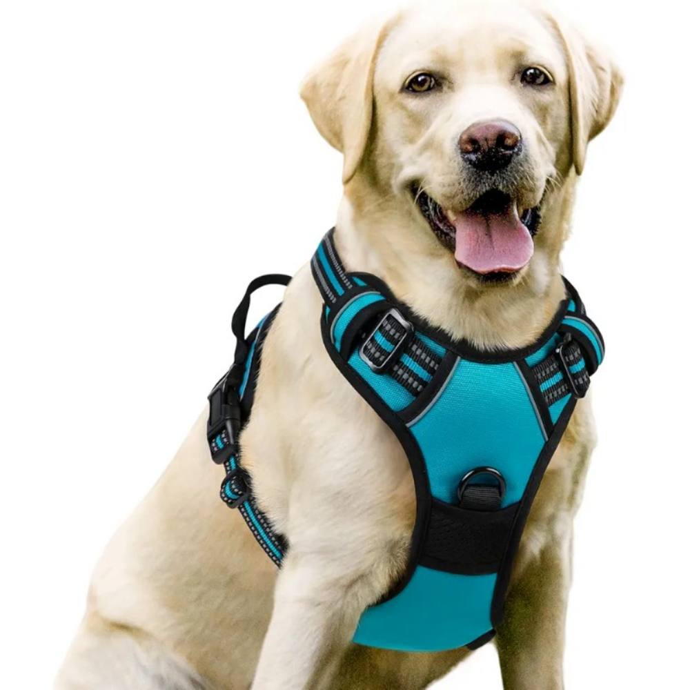 Luxury Nylon Dog Harnesses Reflective Pet Chest Strap for Large Dogs Fashionable Cartoon Style Button Closure Factory Wholesale Pet Harness,U-ME PET LUV,Luxury Nylon Dog Harnesses Reflective Pet Chest Strap for Large Dogs Fashionable Cartoon Style Button Closure Factory Wholesale