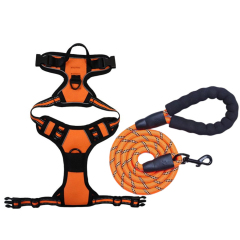 Orange Set