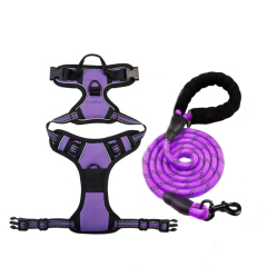 Purple Set