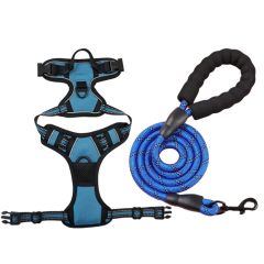 Blue Set