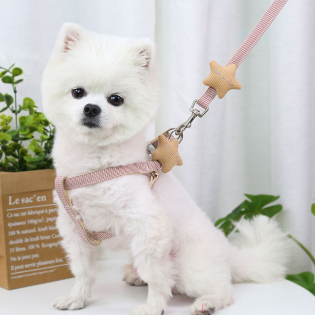 Nylon Quick Release Chest Leash for Small Medium Dogs Cats Fashionable Breathable Outdoor Walking Pet Supplies for Bullfighting,U-ME PET LUV,Nylon Quick Release Chest Leash for Small Medium Dogs Cats Fashionable Breathable Outdoor Walking Pet Supplies for Bullfighting
