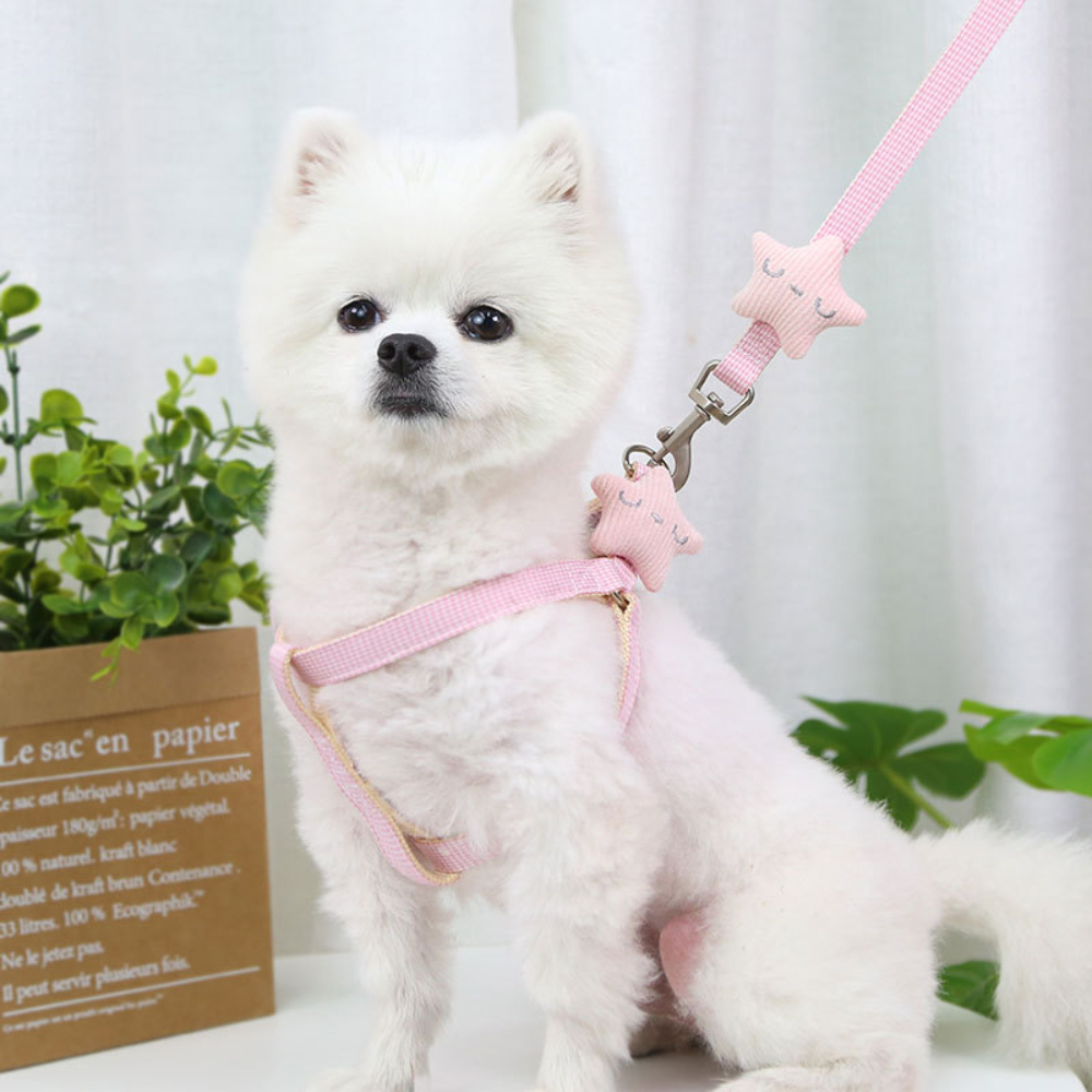 Nylon Quick Release Chest Leash for Small Medium Dogs Cats Fashionable Breathable Outdoor Walking Pet Supplies for Bullfighting,U-ME PET LUV,Nylon Quick Release Chest Leash for Small Medium Dogs Cats Fashionable Breathable Outdoor Walking Pet Supplies for Bullfighting