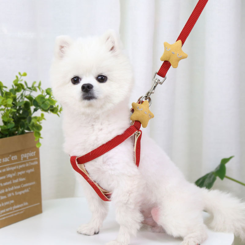 Nylon Quick Release Chest Leash for Small Medium Dogs Cats Fashionable Breathable Outdoor Walking Pet Supplies for Bullfighting,U-ME PET LUV,Nylon Quick Release Chest Leash for Small Medium Dogs Cats Fashionable Breathable Outdoor Walking Pet Supplies for Bullfighting