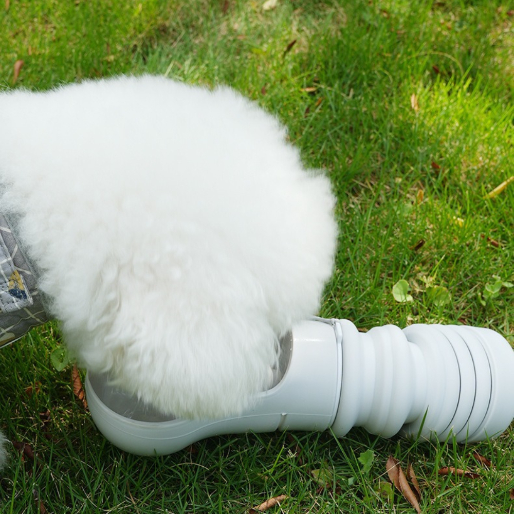 Supplier Wholesale Portable 2-in-1 Eco-Friendly Travel Dog Water Bottle & Food Container Durable Solid Pattern Leakproof Outdoor Pet Travel Cup,U-ME PET LUV,Portable 2-in-1 Eco-Friendly Dog Water Bottle & Food Container Durable Solid Pattern Leakproof Outdoor Pet Travel Cup