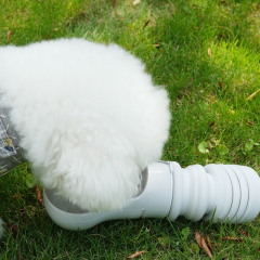 Supplier Wholesale Portable 2-in-1 Eco-Friendly Travel Dog Water Bottle & Food Container Durable Solid Pattern Leakproof Outdoor Pet Travel Cup,U-ME PET LUV,Portable 2-in-1 Eco-Friendly Dog Water Bottle & Food Container Durable Solid Pattern Leakproof Outdoor Pet Travel Cup