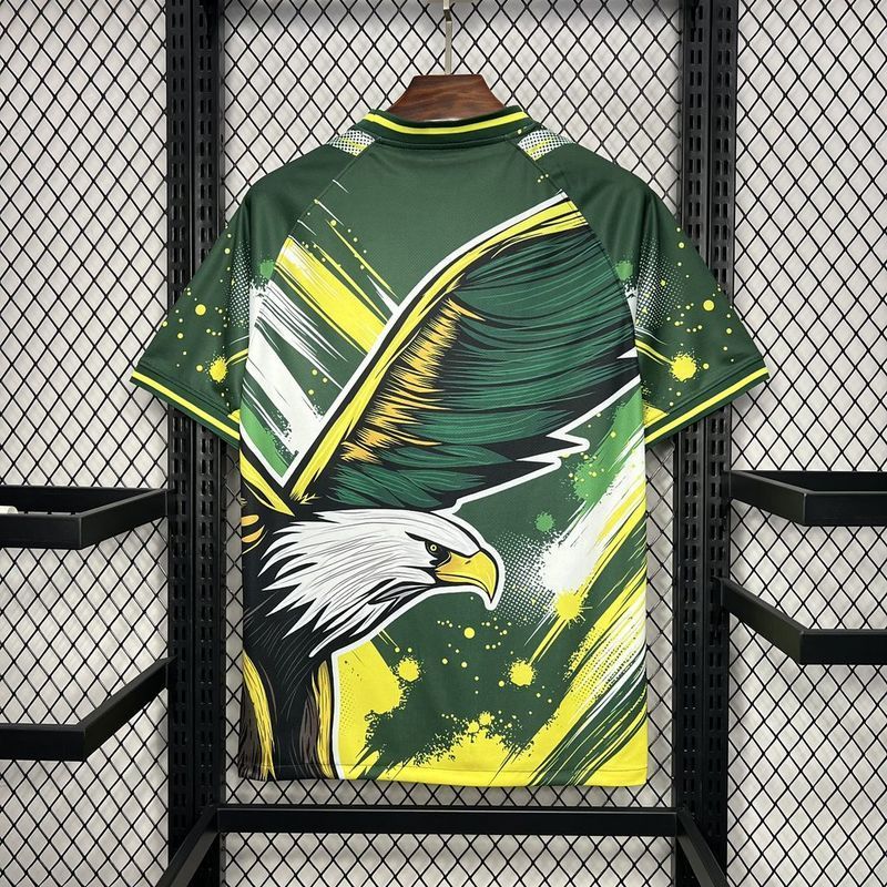 2024-25 Brazil Special Edition Football jersey
