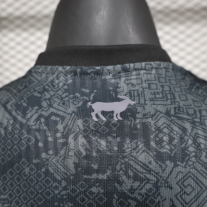 Player Edition 2024-25 Argentina Special Edition Football jersey