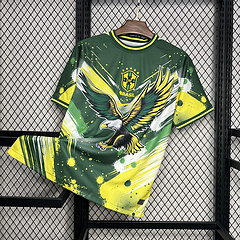2024-25 Brazil Special Edition Football jersey