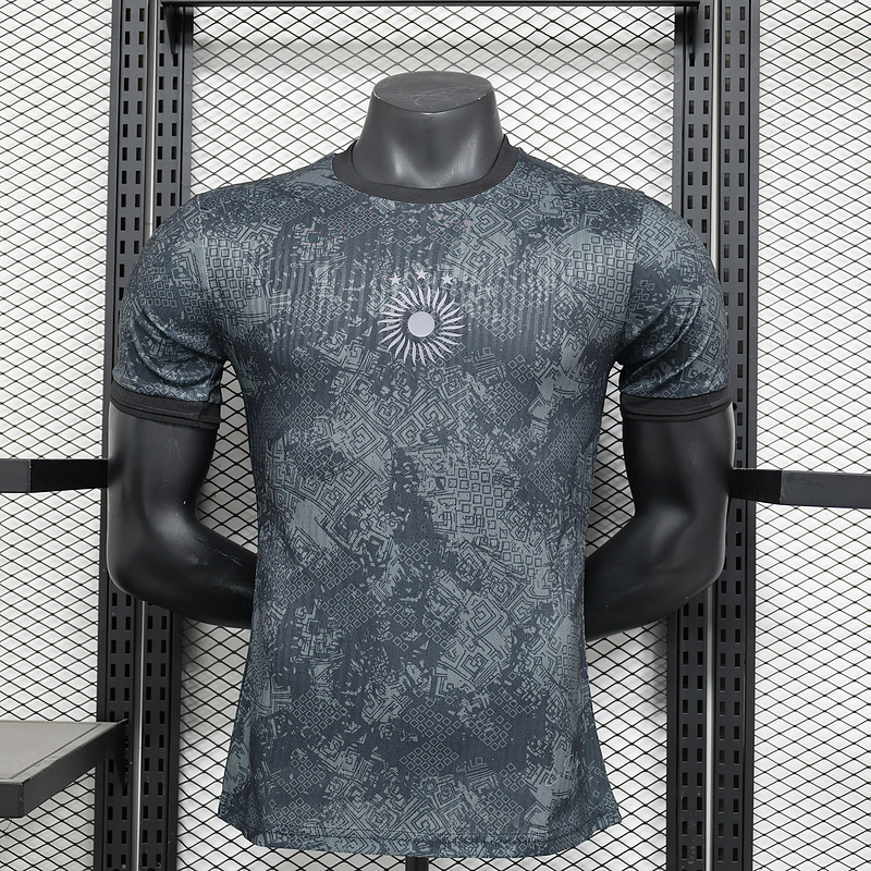 Player Edition 2024-25 Argentina Special Edition Football jersey