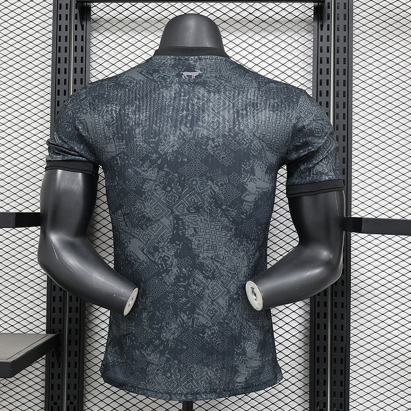 Player Edition 2024-25 Argentina Special Edition Football jersey