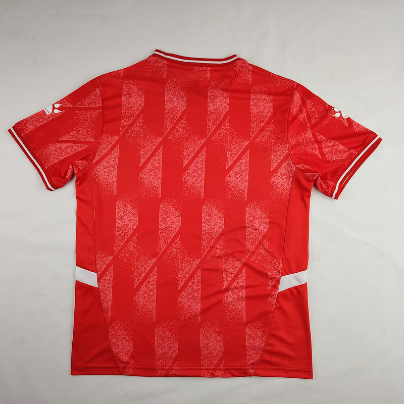 2024-25 Palestinians Palestinian Palestine Soccer Jersey