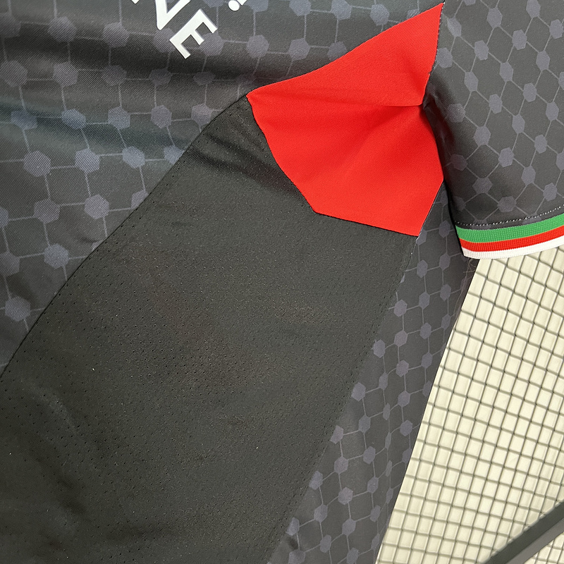 2024-25 Palestinians Palestinian Palestine Soccer Jersey