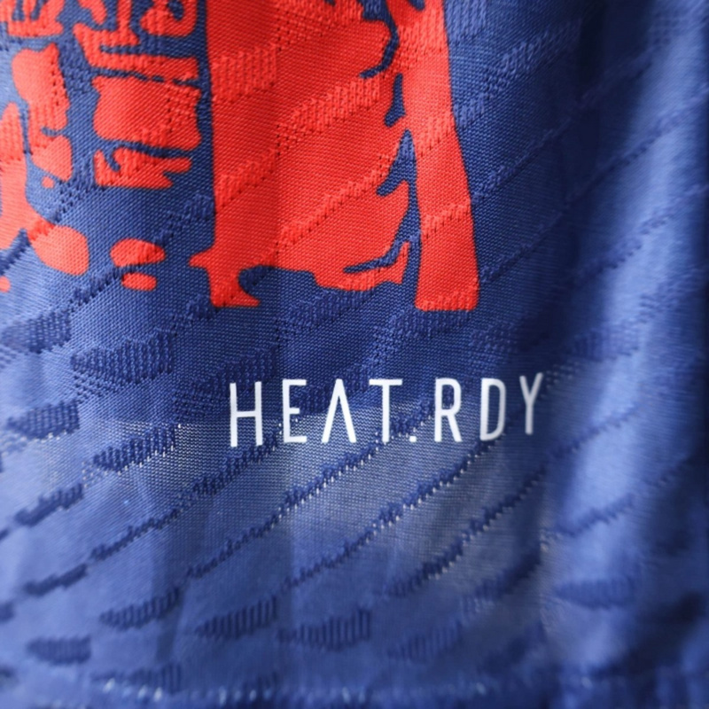 Player 2025-26 Ajax Special Edition Royal Blue Football jersey
