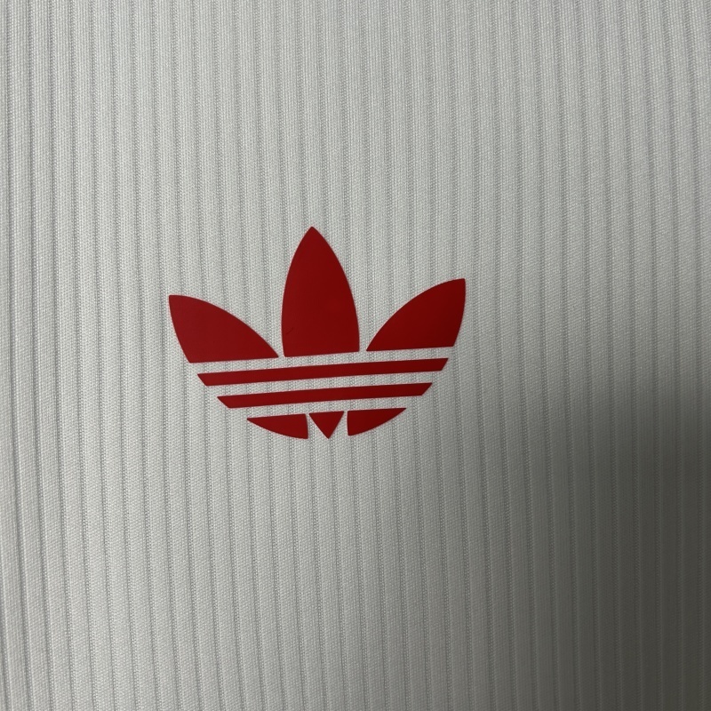 2025-26 Benfica Special Edition Football jersey