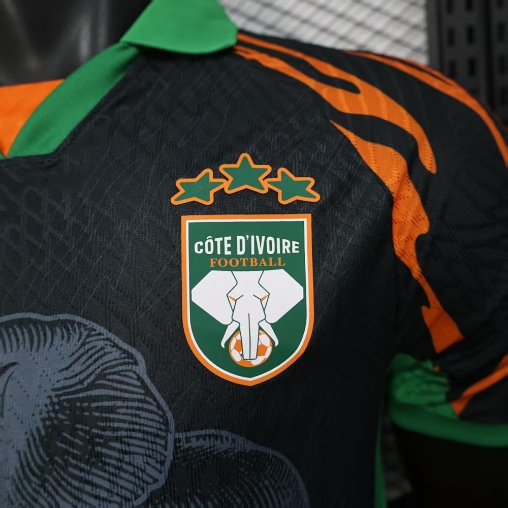 Player version 2025-26 Côte d'Ivoire Football jersey