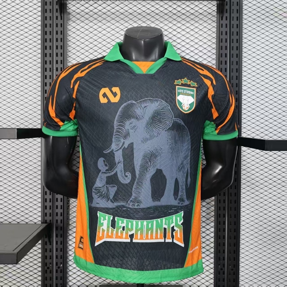 Player 2025-26 Côte d'Ivoire Special Edition Red Football jersey