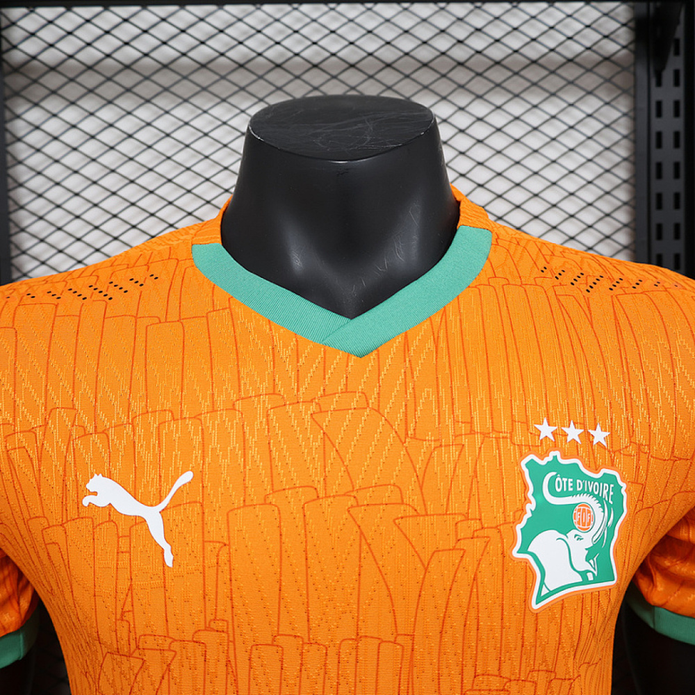 Player 2025-26 Côte d'Ivoire Home Football jersey