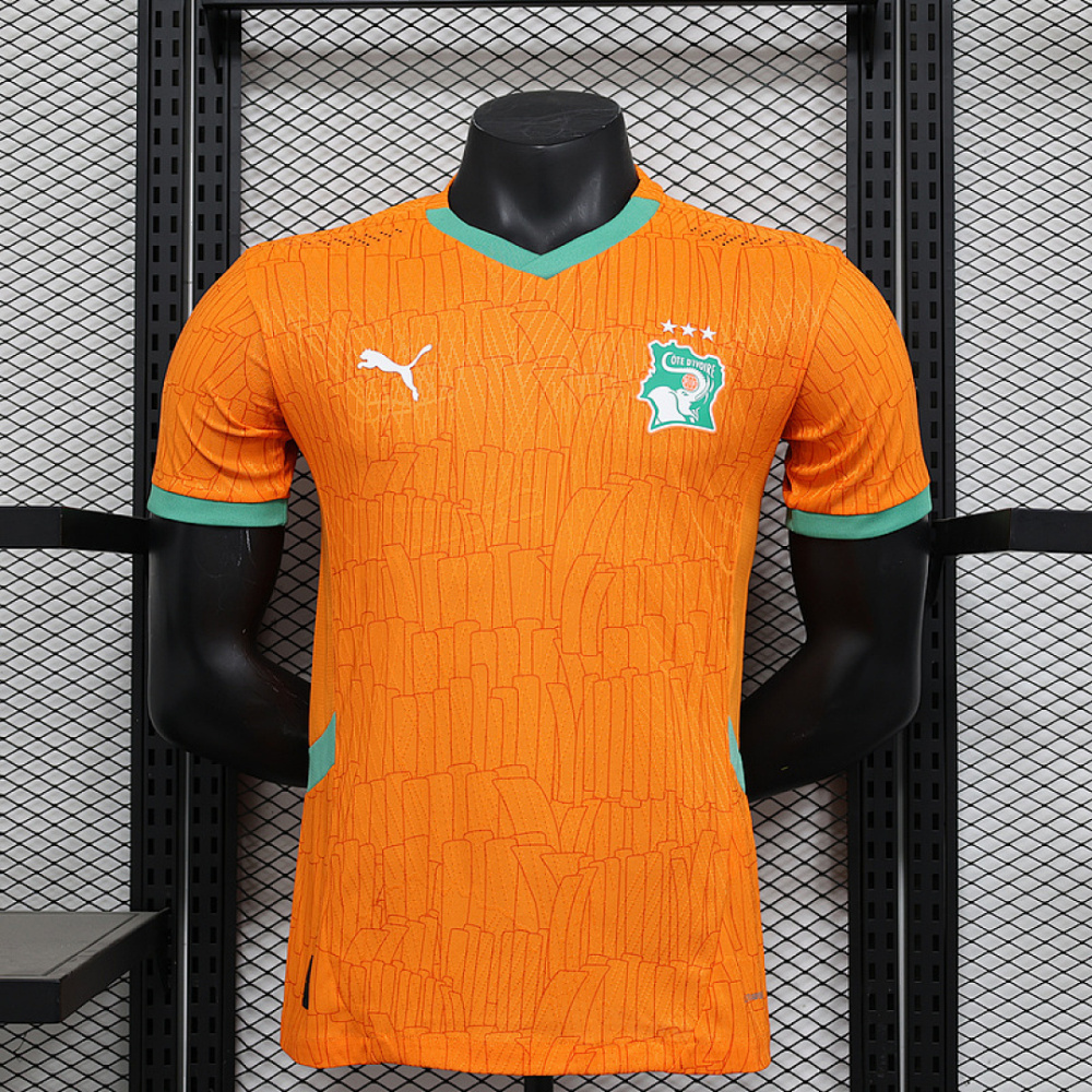 Player 2025-26 Côte d'Ivoire Home Football jersey