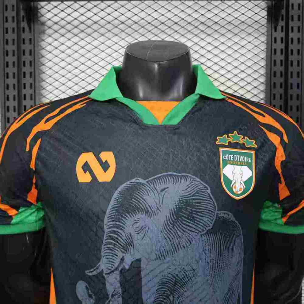 Player 2025-26 Côte d'Ivoire Special Edition Red Football jersey