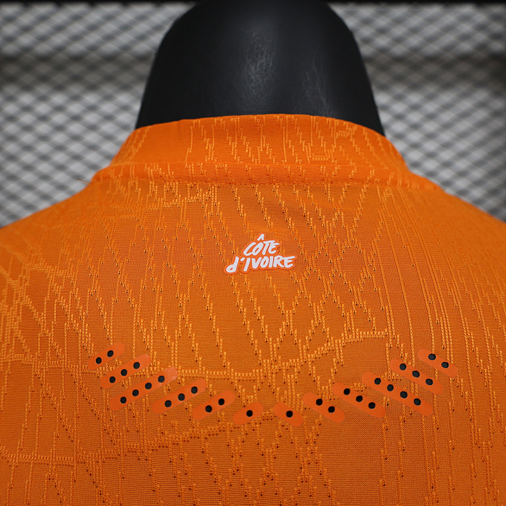 Player 2025-26 Côte d'Ivoire Home Football jersey