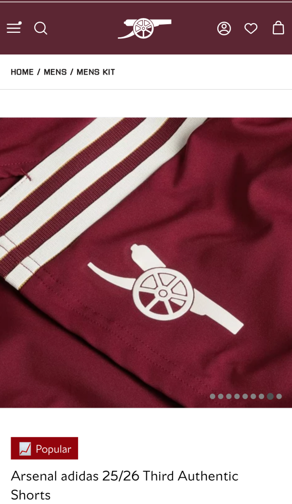 Player Shorts 2025-26 Shorts Arsenal