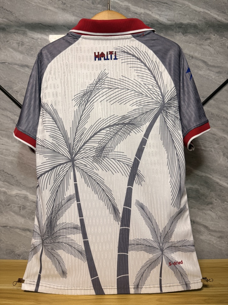 Player Version 2026 Haiti Away Football Jersey World Cup