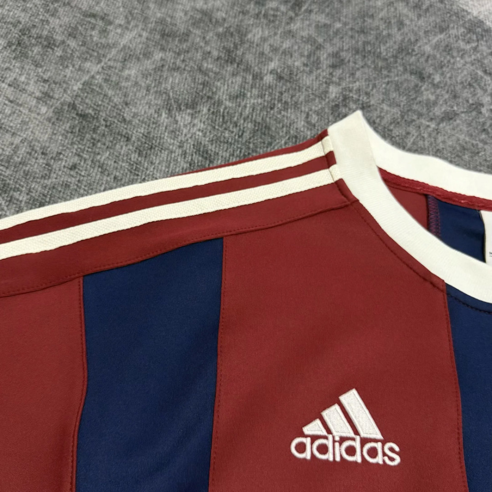 2026-27 Bayern Munchen Special Edition Football Jersey