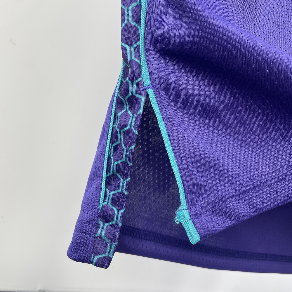 2023-24 Charlotte Hornets LaMelo Ball #1 Men’s Jersey