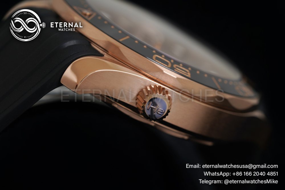 OMEGA - Seamaster 300m RG/RU Black VSF Asia 8801