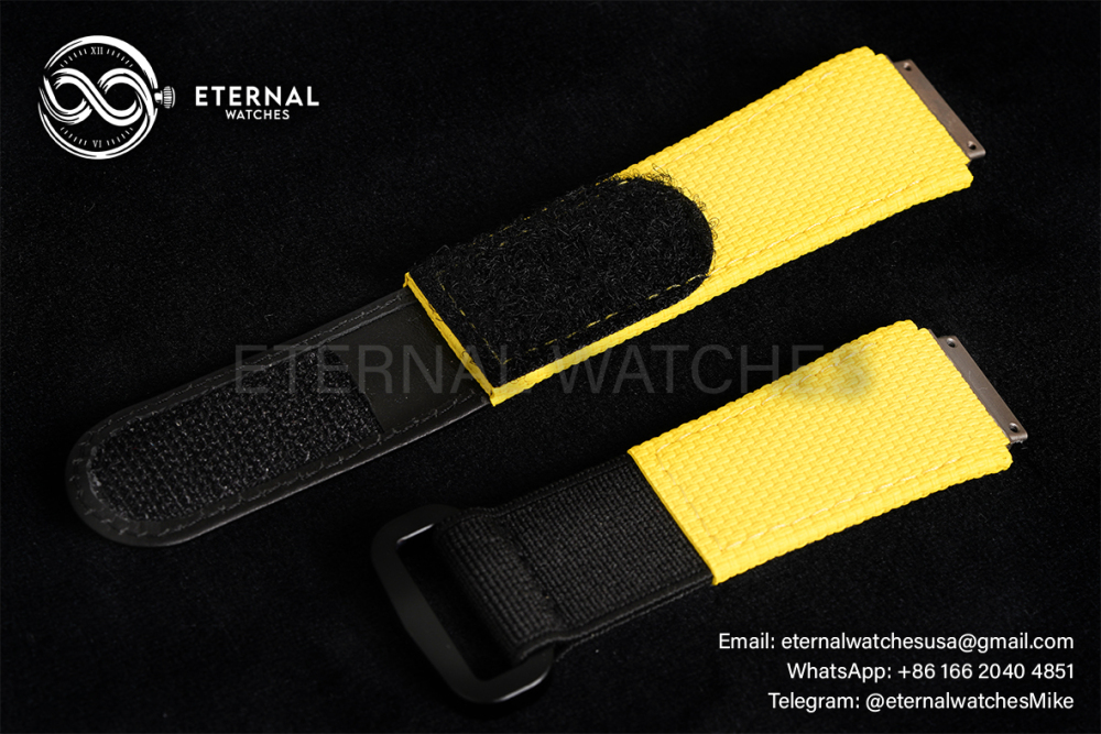 RICHARD MILLE - VAUCHER SUPER CLONE RM67-02 Mutaz Barshim Purple Extra Flat