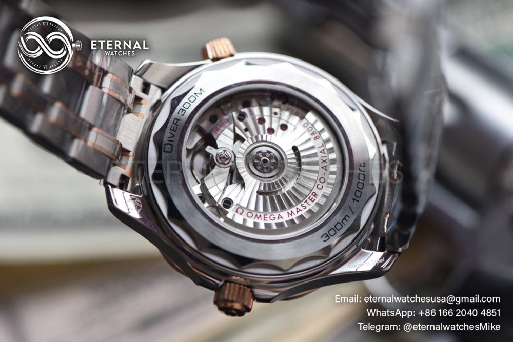 OMEGA - Seamaster 300m RG/SS Black VSF VS8800