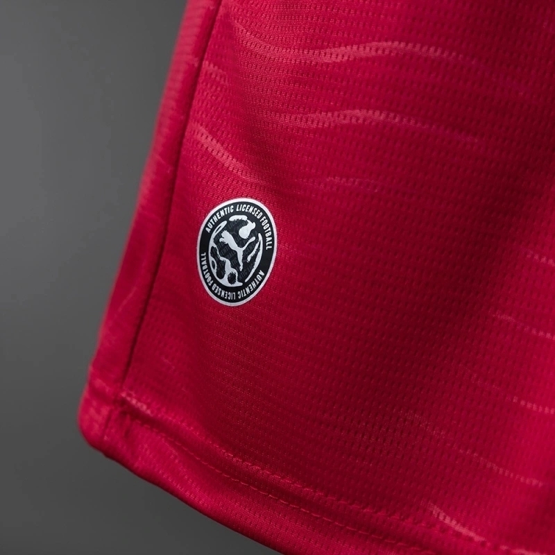 2026 PORTUGAL HOME WORLD CUP LONG SLEEVE (FAN VERSION)