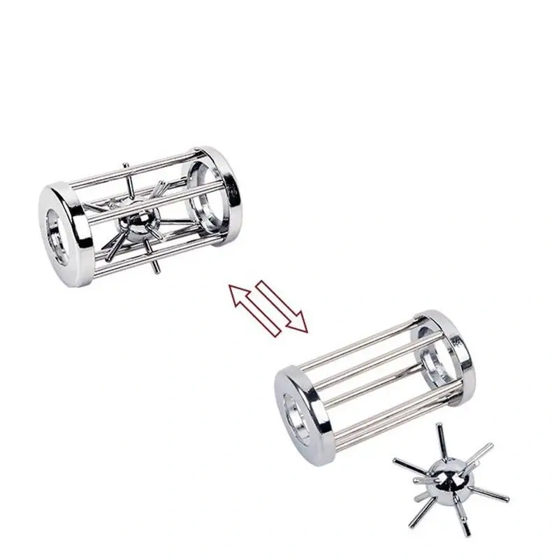 Classic Metal Caged Puzzle Game Toys for Adult Children