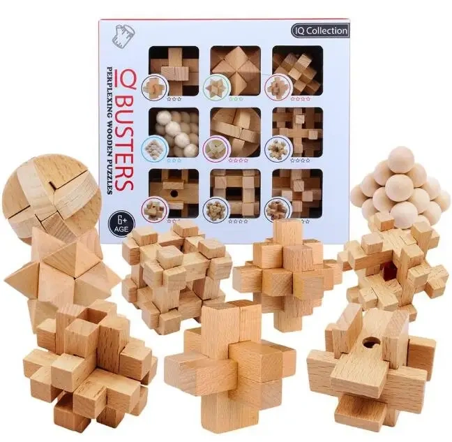 Classic Puzzle Mind Brain Teaser 2D 3D Wooden Puzzles Educational Game for Adults Children