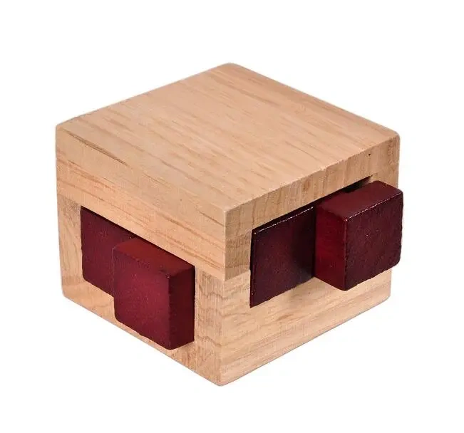 Challenging 3D Wooden Brain Teaser Puzzle Game for Adults