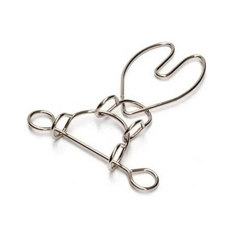 5PCS/Set Classic Metal Wire Puzzles Game for Children Adults