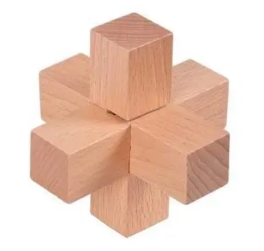 Classic Wooden Brain Teaser Wood Burr Puzzles Game for Adults Kids