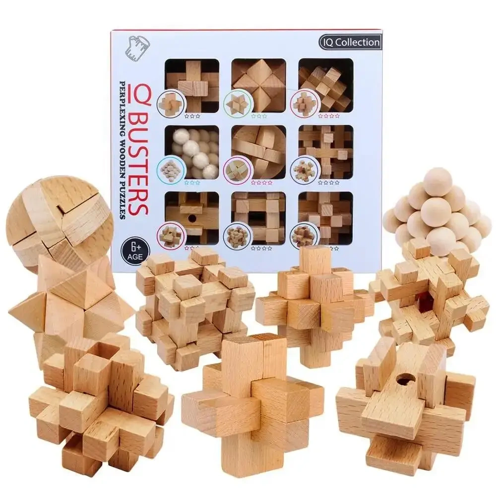 Classic Puzzle Mind Brain Teaser 2D 3D Wooden Puzzles Educational Game for Adults Children