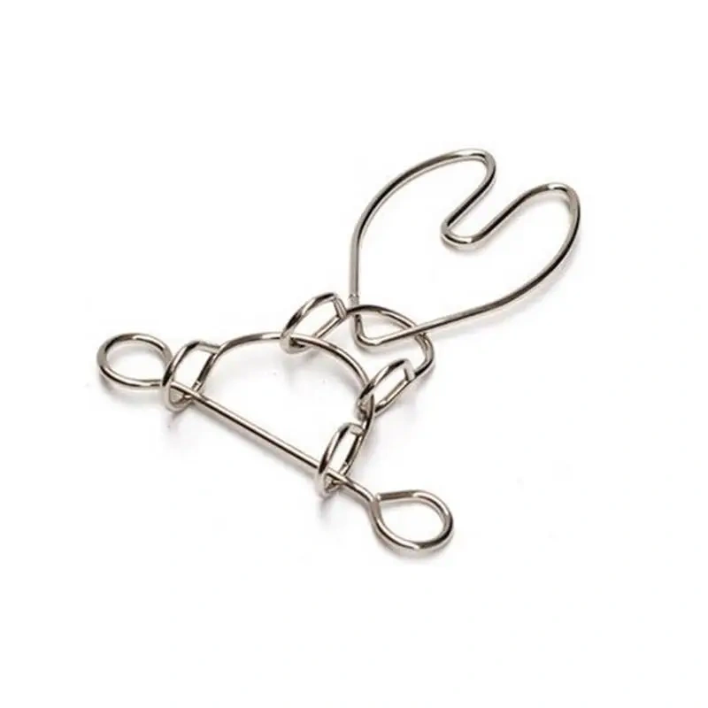 Classic Puzzle Game Metal Heart Wire Puzzles Game for Adults Kids