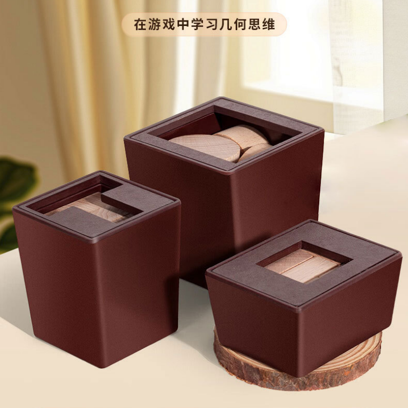 Challenging Six T Logic 3D Mind Box Brain Teasers Wooden Puzzles Game