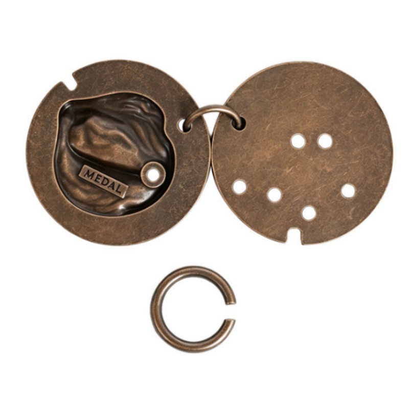 Metal Medal Puzzle – The Legend of the Ring & Salmon Brain Teaser