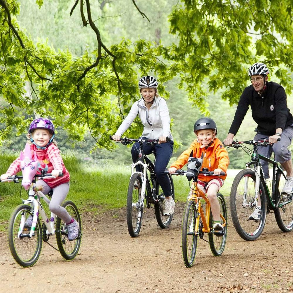 4 Pack 16"/ 20"/ 24"/ 26" x1.75/1.95/2.10/2.125 Bike Tubes with 2 Tire Levers, Bicycle Inner Tube Schrader Valve, Bike Inner Tube for Road/MTB/Kids Bike by Hydencamm (4 of One Size)