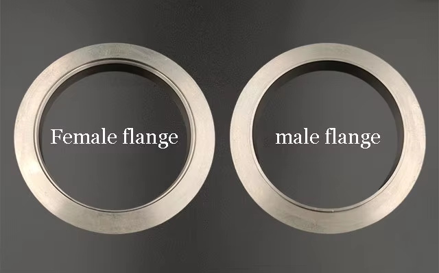 Titanium Customizable 2~5inch Standard Type Spring Clamp Titanium V-Band Flange with Quick Release Clamp V-type Flange Kit for Cars Downpipe