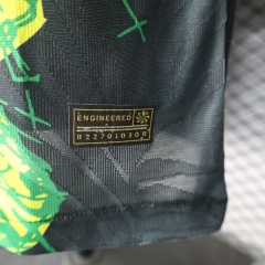 2025/26 Brazil Special Player Version Jersey 
