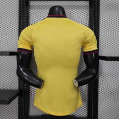 2026 Colombia Special Player Version Jersey 