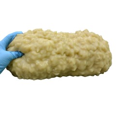 6.5kgs Human Fat Replica