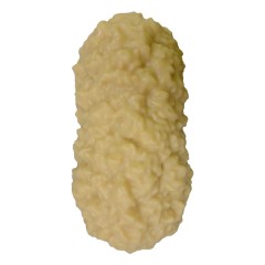 6.5kgs Human Fat Replica