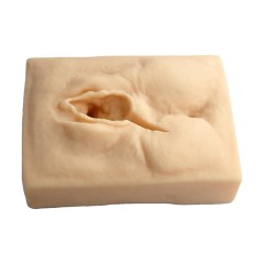 Female Vulva Incision Suture Training Model for Medical Education